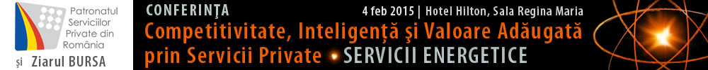 Servicii energetice 2015