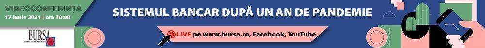 Sistemul bancar dupa un an de pandemie 2021